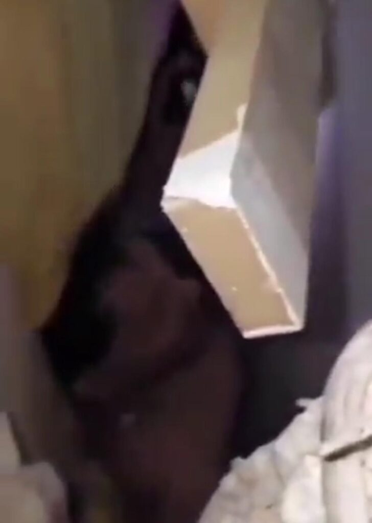 “Está volviendo a temblar, hermano… si quieres te vas”