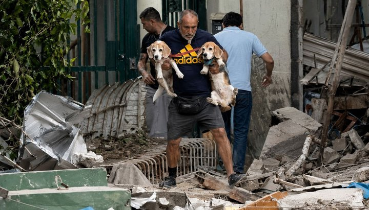 Misión Nevado insta a difundir afiches para ubicar a dueños de mascotas rescatadas tras el doble sismo