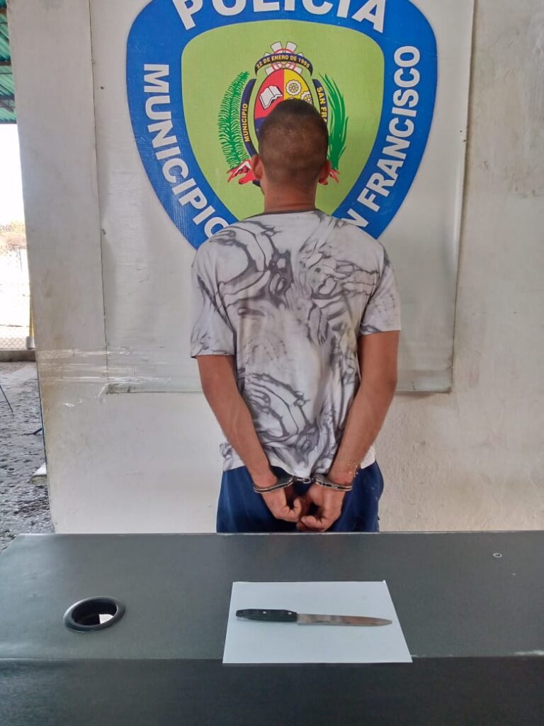 Polisur arresta a un ciudadano por violencia de género y ultraje al funcionario