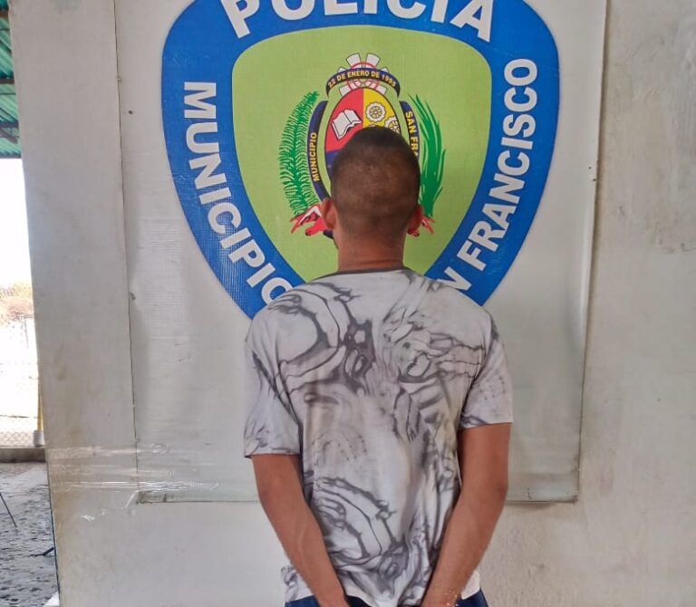 Polisur arresta a un ciudadano por violencia de género y ultraje al funcionario