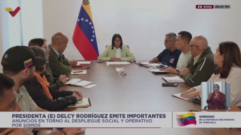 Delcy Rodríguez anuncia censo para las personas que perdieron sus viviendas