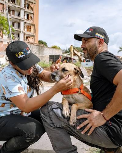 Misión Nevado brinda atención veterinaria de emergencia en la sede de Nuevo Circo y sectores de La Guaira