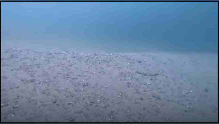Especialista en pesca submarina asegura que los Terremotos provocaron un “cambio geográfico” en el fondo marino