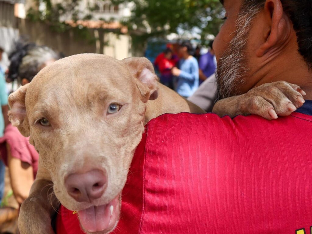 ¡Jornadas los miércoles en Plaza para Todos! ¿Necesitas esterilizar tu mascota?, acude al Impa