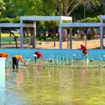 Gobernación despliega jornada de recuperación en tres espacios de esparcimiento y recreación de Maracaibo