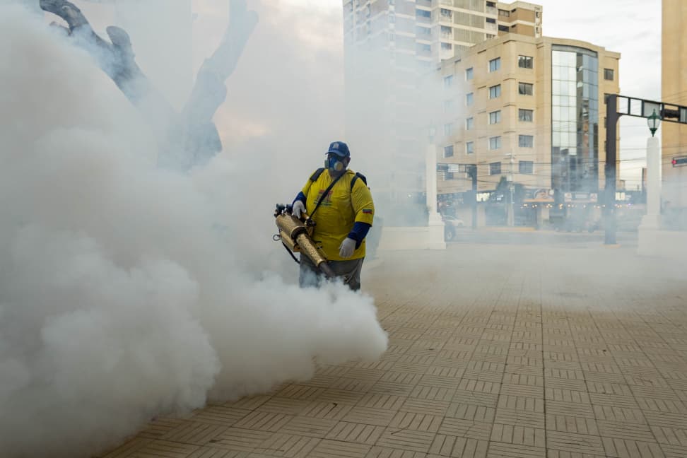 ¡Plazas, residencias y cementerios! Plan de fumigación y control de vectores ejecuta la Alcaldía de Maracaibo