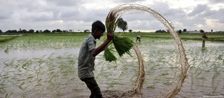 El Niño y las guerras podrían agravar el hambre mundial
