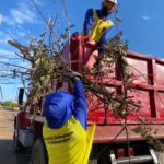 Doce toneladas desechos semanales recoge el SEDECEMA en cementerios Sagrado Corazón de Jesús y San José