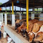 Alcaldía de Maracaibo te invita a la primera ruta "Sembrando Ecoturismo"