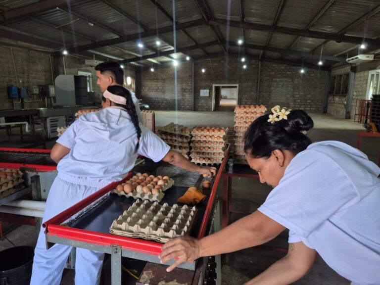 Gobernación del Zulia impulsa la producción agroindustrial en alianza con el sector privado