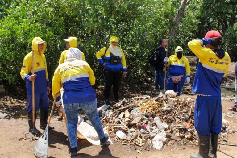 Más de 90 toneladas de desechos ha retirado el IMA del manglar del Parque Tierra de los Sueños