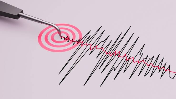 La madrugada de este martes, se registró un sismo de magnitud 4.0 con epicentro en La Guaira