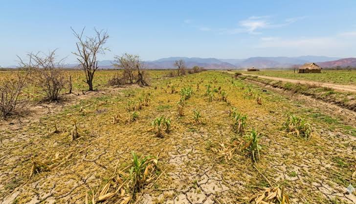 Se espera un "Súper El Niño" y así se prepara el agro mundial