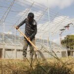 ‎El estadio Alejandro Borges empieza a vestirse de verde con la siembra de su nueva grama
