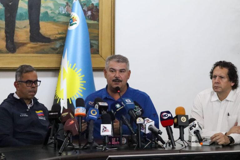 Luis Caldera: "En la medida que se incorporan más megavatios, mejora y estabiliza el sistema eléctrico"
