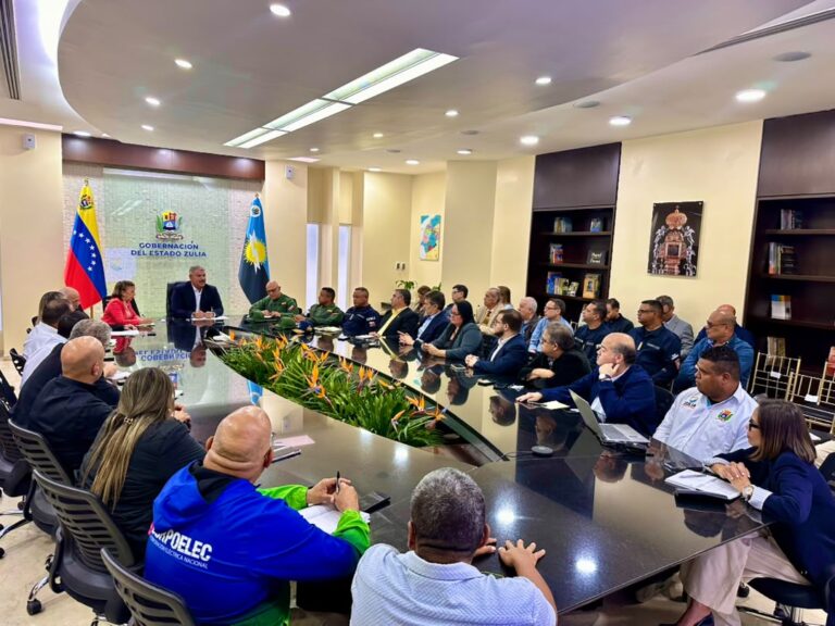 Reunión especial del Consejo de Economía Regional acordó temas de seguridad, electricidad, impuestos y combustibles