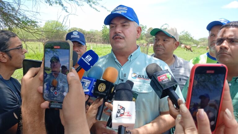 Gobernador del Zulia acompaña caracterización del ganado bovino en el municipio San Francisco