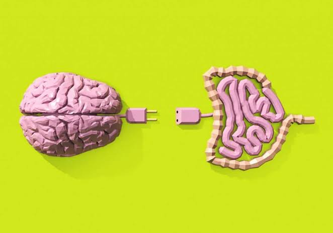 Autismo y Microbiota: El Intestino como Segundo Cerebro