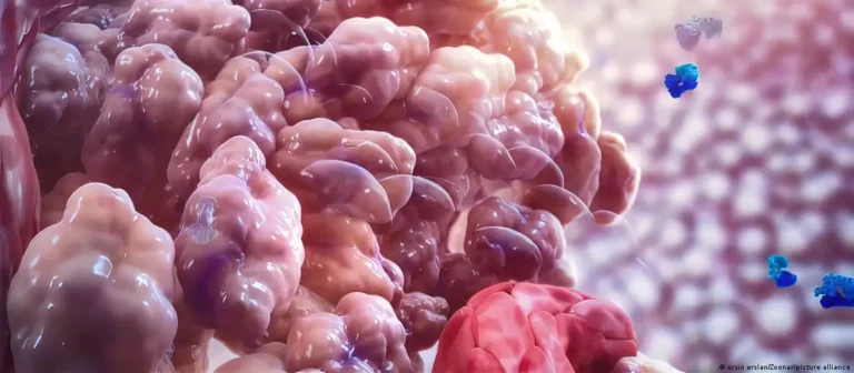 Descubren cómo el cáncer puede resistir la inmunoterapia