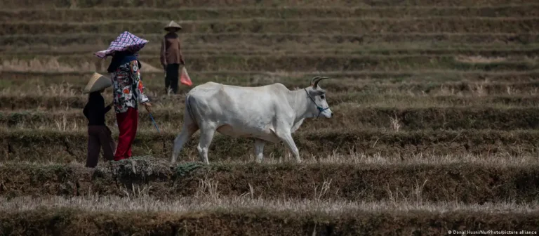 El gran desafío alimentario que conlleva el cambio climático