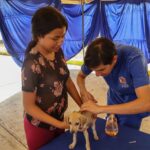 Maracaibo se suma a Castralat en el Día Mundial de los Animales