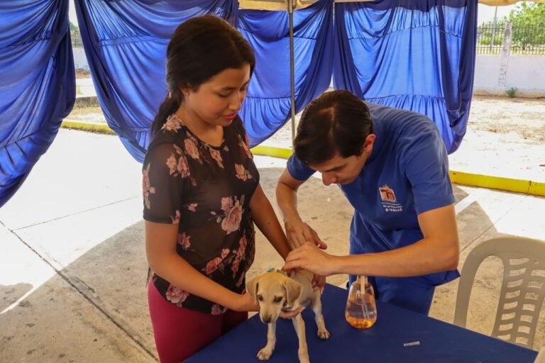 Maracaibo se suma a Castralat en el Día Mundial de los Animales