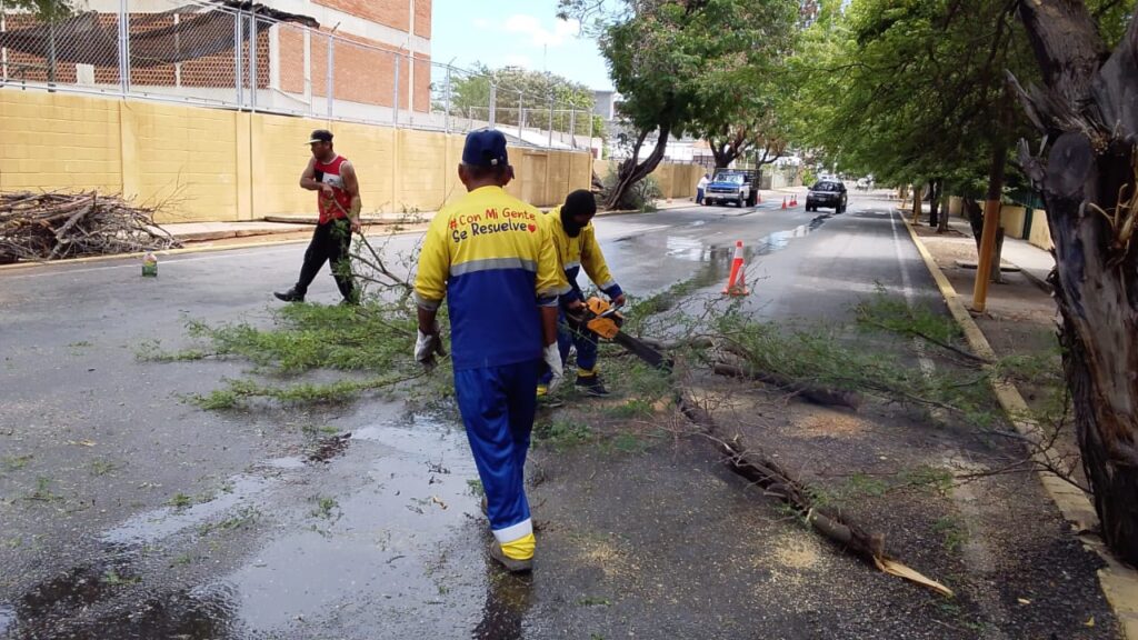 Normalidad en cañada Fénix y Arismendi y 5 árboles caídos es el reporte del IMA