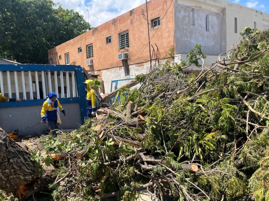Alcaldía de Maracaibo continúa con operativo de emergencia para recoger árboles caídos