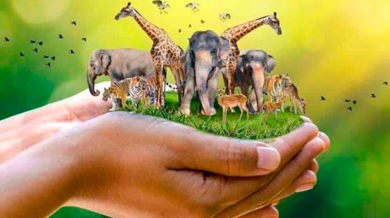 Día Mundial de los Animales