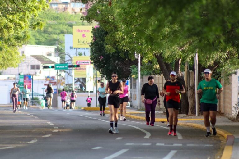 Domingo de la Ciclovía