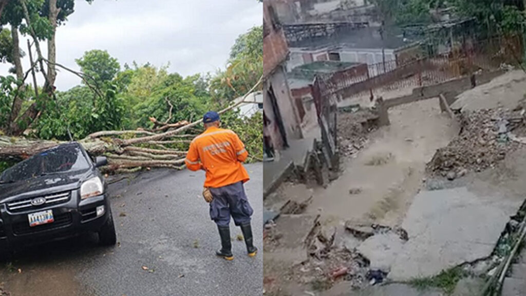 Fuertes lluvias causan anegaciones y caída de árboles en Caracas y Miranda