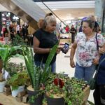 Gran Expo Microempresarios impulsa producción de marcas nuevas y consolidadas de la ciudad