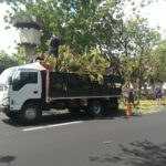 IMA insta a Corpoelec a mesa de trabajo para coordinar planes de poda en Maracaibo