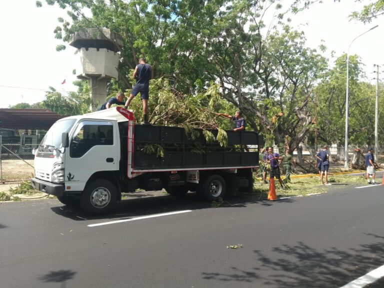 IMA insta a Corpoelec a mesa de trabajo para coordinar planes de poda en Maracaibo