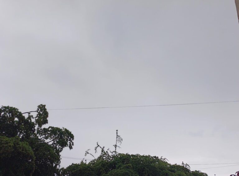 INAMEH reporta lluvias y actividad eléctrica en varias regiones del país