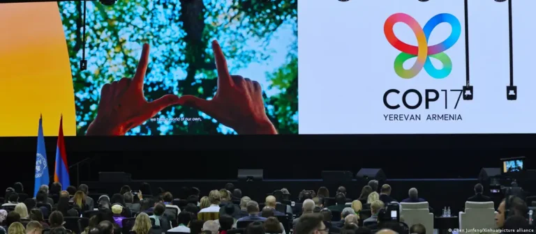 La COP17 logra avances en textos para proteger la naturaleza