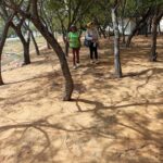 Pulmones verdes y biodiversidad urbana como clave para la salud mental y ambiental